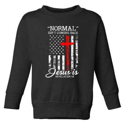 USA Flag Normal Isn't Coming Back But Jesus Is Revelation 14 Toddler Sweatshirt