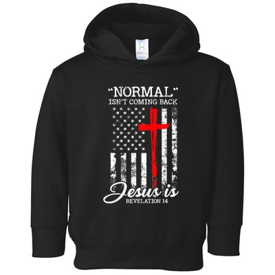 USA Flag Normal Isn't Coming Back But Jesus Is Revelation 14 Toddler Hoodie