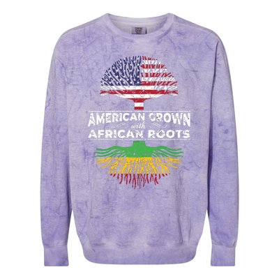 Us Flag Pride African American Heritage Black History Month Colorblast Crewneck Sweatshirt