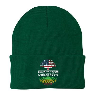 Us Flag Pride African American Heritage Black History Month Knit Cap Winter Beanie