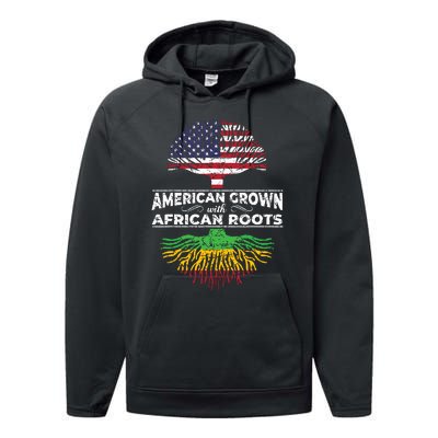 Us Flag Pride African American Heritage Black History Month Performance Fleece Hoodie