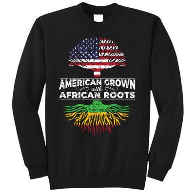 Us Flag Pride African American Heritage Black History Month Sweatshirt