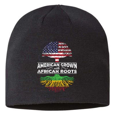 Us Flag Pride African American Heritage Black History Month Sustainable Beanie