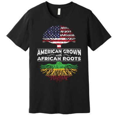 Us Flag Pride African American Heritage Black History Month Premium T-Shirt