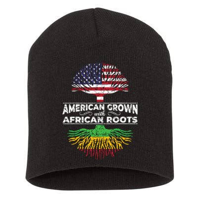 Us Flag Pride African American Heritage Black History Month Short Acrylic Beanie