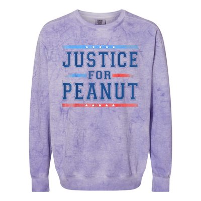 Us Flag Peanut Squirrel Justice For Peanut The Squirrel Gift Colorblast Crewneck Sweatshirt