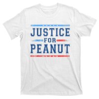 Us Flag Peanut Squirrel Justice For Peanut The Squirrel Gift T-Shirt