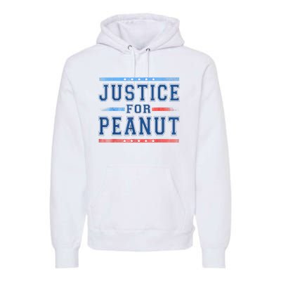 Us Flag Peanut Squirrel Justice For Peanut The Squirrel Gift Premium Hoodie