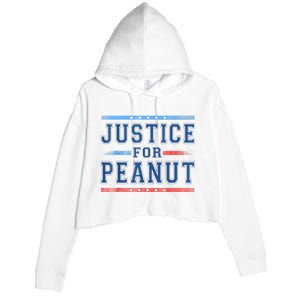 Us Flag Peanut Squirrel Justice For Peanut The Squirrel Gift Crop Fleece Hoodie