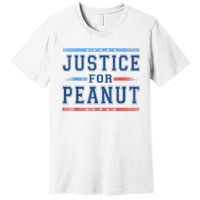 Us Flag Peanut Squirrel Justice For Peanut The Squirrel Gift Premium T-Shirt