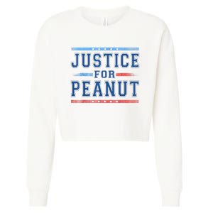 Us Flag Peanut Squirrel Justice For Peanut The Squirrel Gift Cropped Pullover Crew