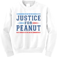 Us Flag Peanut Squirrel Justice For Peanut The Squirrel Gift Kids Sweatshirt