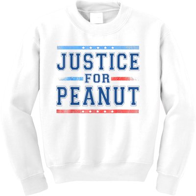 Us Flag Peanut Squirrel Justice For Peanut The Squirrel Gift Kids Sweatshirt