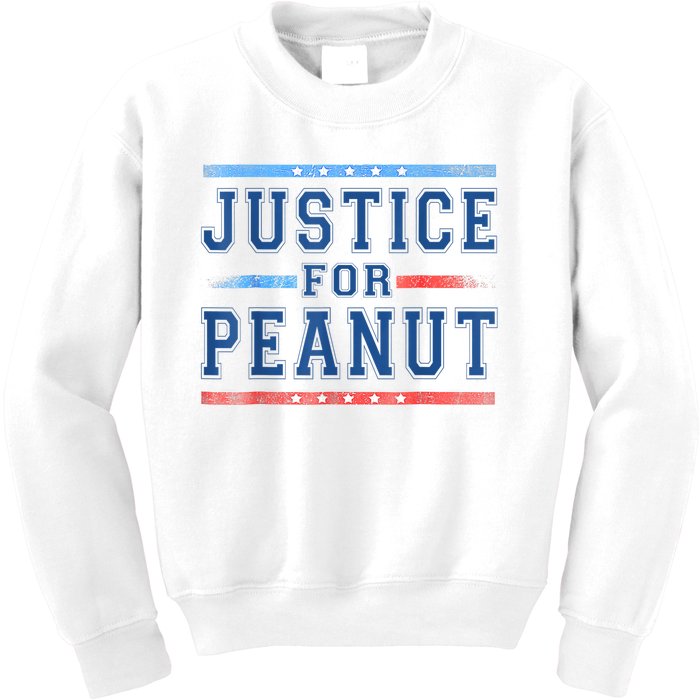 Us Flag Peanut Squirrel Justice For Peanut The Squirrel Gift Kids Sweatshirt