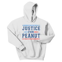 Us Flag Peanut Squirrel Justice For Peanut The Squirrel Gift Kids Hoodie