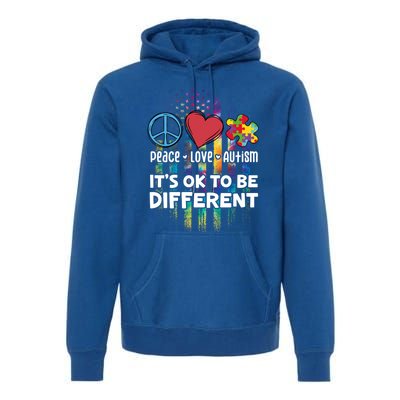 Usa For Peace Love Autism ItS Ok To Be Different Gift Premium Hoodie