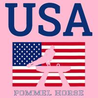 Usa Flag Pommel Horse Gymnastics Team American Gymnast Women's V-Neck T-Shirt