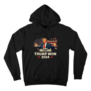 Us Flag Retro Trump Won 2024 President 47th Election Gift Hoodie