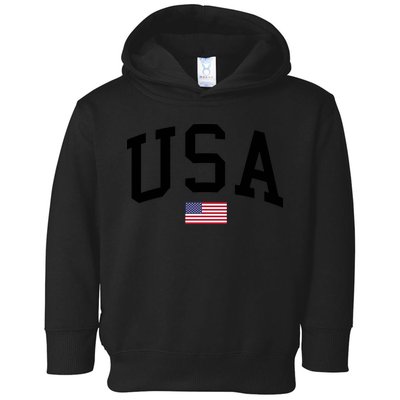 USA Flag Toddler Hoodie