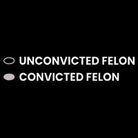 Unconvicted Felon Vs Convicted Felon Funny Ballot Paper Sustainable Bucket Hat