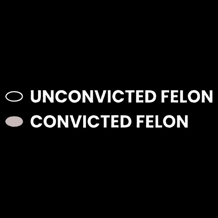 Unconvicted Felon Vs Convicted Felon Funny Ballot Paper Sustainable Bucket Hat