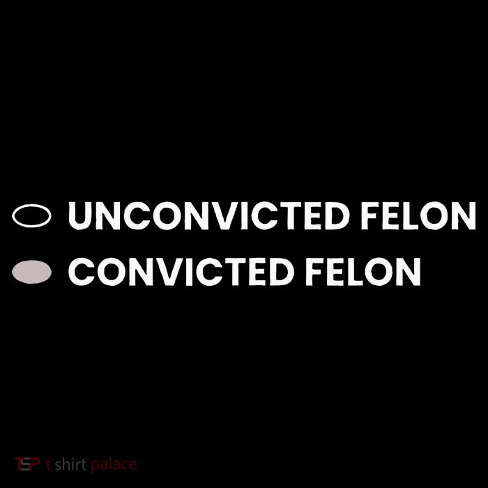 Unconvicted Felon Vs Convicted Felon Funny Ballot Paper Sustainable Beanie