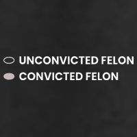Unconvicted Felon Vs Convicted Felon Funny Ballot Paper 25L Jumbo Tote