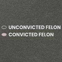 Unconvicted Felon Vs Convicted Felon Funny Ballot Paper Cotton Canvas Backpack