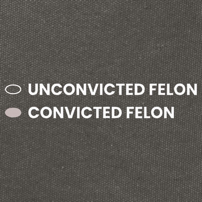 Unconvicted Felon Vs Convicted Felon Funny Ballot Paper Cotton Canvas Backpack