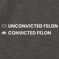 Unconvicted Felon Vs Convicted Felon Funny Ballot Paper Vector Backpack