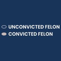 Unconvicted Felon Vs Convicted Felon Funny Ballot Paper Infant Baby Jersey Bodysuit