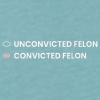 Unconvicted Felon Vs Convicted Felon Funny Ballot Paper Sueded Cloud Jersey T-Shirt