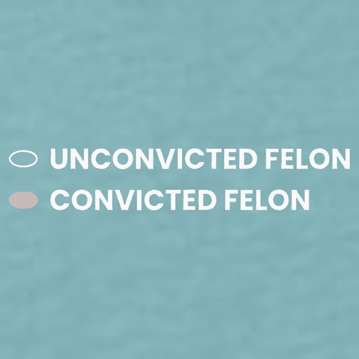 Unconvicted Felon Vs Convicted Felon Funny Ballot Paper Sueded Cloud Jersey T-Shirt