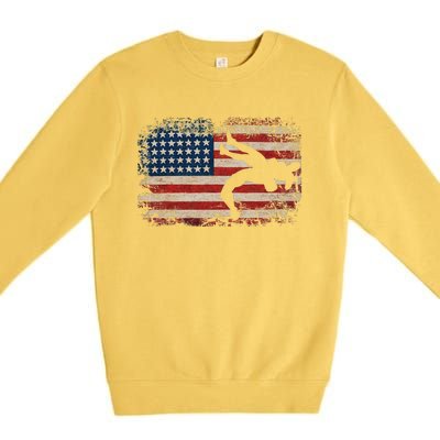 Usa Flag Wrestling American Flag Wrestling Wrestle Gift Premium Crewneck Sweatshirt