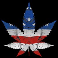 Usa Flag Weed Leaf Fourth Of July American Flag Marijuana Gift Impact Tech Backpack