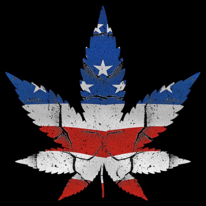 Usa Flag Weed Leaf Fourth Of July American Flag Marijuana Gift Impact Tech Backpack