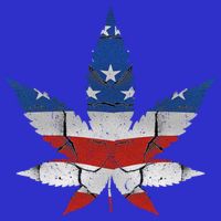 Usa Flag Weed Leaf Fourth Of July American Flag Marijuana Gift 16 in Basic Backpack