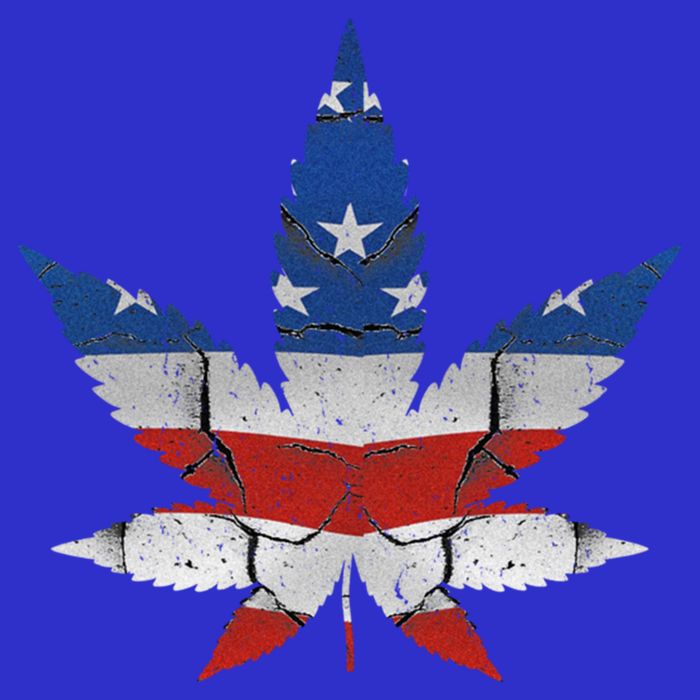 Usa Flag Weed Leaf Fourth Of July American Flag Marijuana Gift 16 in Basic Backpack