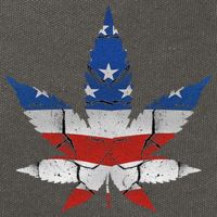 Usa Flag Weed Leaf Fourth Of July American Flag Marijuana Gift Cotton Canvas Backpack