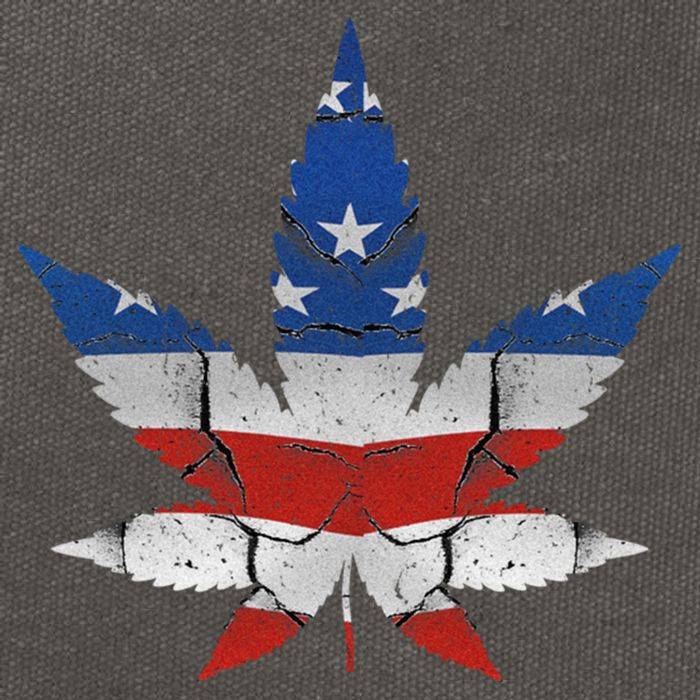 Usa Flag Weed Leaf Fourth Of July American Flag Marijuana Gift Cotton Canvas Backpack