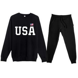 Usa Gift And Patriotic American Flag Unisex Gift Premium Crewneck Sweatsuit Set