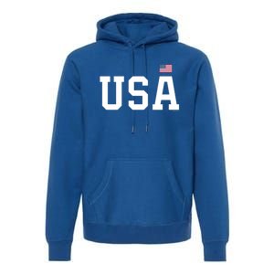 Usa Gift And Patriotic American Flag Unisex Gift Premium Hoodie