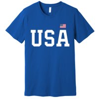 Usa Gift And Patriotic American Flag Unisex Gift Premium T-Shirt