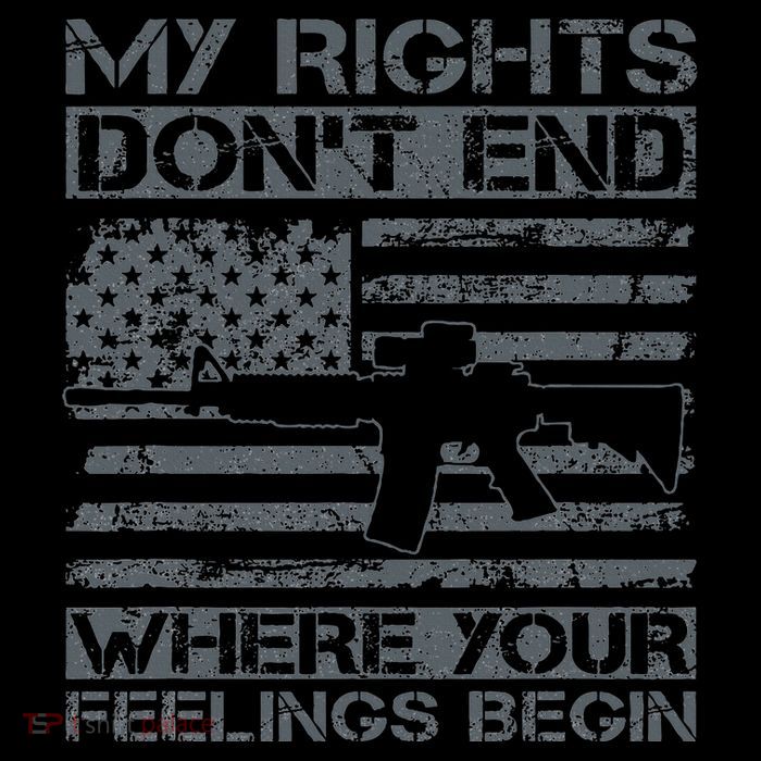 Usa Gun Flag My Rights DonT End Where Your Feelings Begin Toddler Hoodie