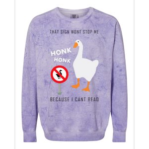 Untitled Goose Game Funny Colorblast Crewneck Sweatshirt