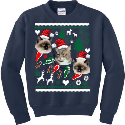 Ugly Cat Christmas Sweatshirt Sweater Kids Sweatshirt