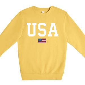 Usa Gift Patriotic American Flag July 4th Gift Premium Crewneck Sweatshirt