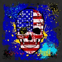 USA Grunge Skull 7 Panel Mesh Trucker Snapback Hat
