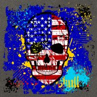 USA Grunge Skull Cotton Canvas Backpack