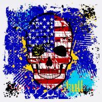 USA Grunge Skull Poster